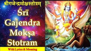 Gajendra Moksha Stotram  श्री गजेंद्र मोक्षम् BrajaBeats Lavis aummusics [upl. by Nalliuq898]