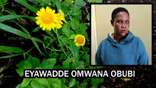 Eyalisa Omwana Bbi Obubi Bamusalidde Emyaka 35 Abakyala Mufunemu Enkyokuyiga [upl. by Alviani]