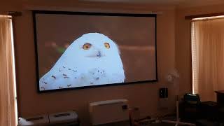 Toptro x7 projector during daylight with blinds shut [upl. by Baoj683]