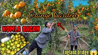 komla bagan thang lai mani \\ kokborok vlogging orange 🍊 garden [upl. by Adebayo]