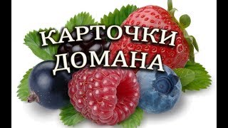 🧸Сборник ☀ НОВЫЕ Карточки Домана ⚽ Транспорт Животные Предметы😎 Растения Овощи Фрукты Еда [upl. by Yenaled]