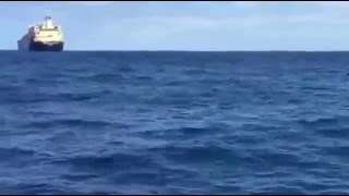 Ballena Jorobada en Las Palmas de Gran Canaria Marzo 2016 [upl. by Hsaniva459]