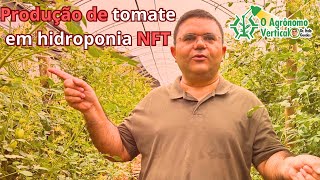 Produção de tomate em hidroponia NFT [upl. by Nnazil]