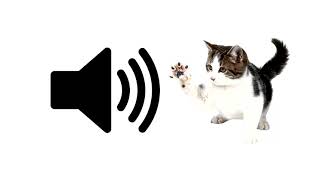 Cat Meow  Sound Effect  ProSounds [upl. by Marleen]