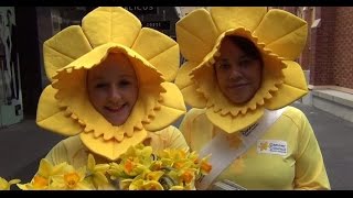 What will you do to beat cancer Daffodil Day [upl. by Chatwin514]