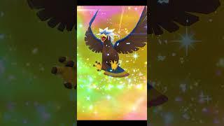 🌟Shiny Rufflet Evolved Into Shiny Braviary🌟 [upl. by Gairc990]