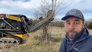 Skid Steer Tree Reaper Destroys Trees FAST [upl. by Dnyletak]