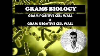 Gram Positive and Gram Negative Cellwall in malayalammicrobiologybacteriologycellwall [upl. by Amersham]