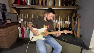 Электрогитара DeMarco DMSEST600 Stratocaster HSS White  SKIFMUSIC [upl. by Nightingale]