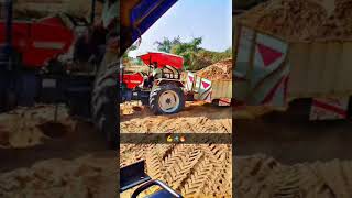 Swraj 855 power in trolly song trendingshorts trendsong tractorvideo 855 tralla reels shorts [upl. by Ialocin823]