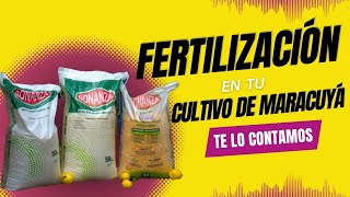 Fertilización en el cultivo de maracuyá [upl. by Strage982]