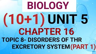 NEET BIO 101 CHAPTER 16 VIDEO 13 [upl. by Annaehr]