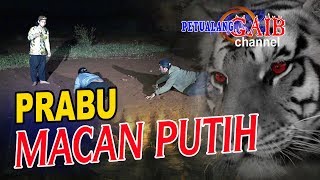 TABIR MISTERI ILMU MACAN PUTIH [upl. by Romo674]