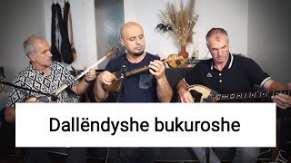 DALLENDYSHE BUKUROSHE Instrumentale Sh Kafexholli [upl. by Neil]