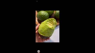 Bicolanang Rabas is liveYUMMY 🥑 AVOCADO ASMR 🤤 [upl. by Maurie]