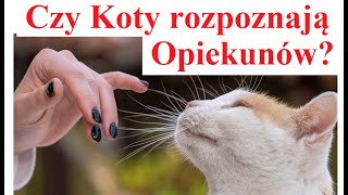 Czy Koty rozpoznają Swoich Opiekunów [upl. by Gilbertina]