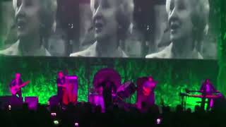 Morrissey  The Loop Live 2024 Dallas [upl. by Ediva]