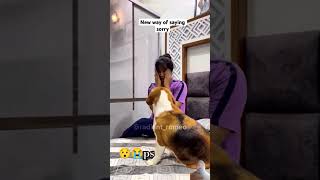 😯😭ps dog funnymemessorry beagle funny comedy doglover explore memes shaadi instagood love [upl. by Oynotna191]