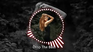 Drop The Bass  Kira Voss  New Trend Song 2024 [upl. by Epoillac]