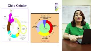 BIOLOGIA MOLECULAR 1 Ciclo Celular  Dra Glenny Mirabal  Bioquímica [upl. by Selden]