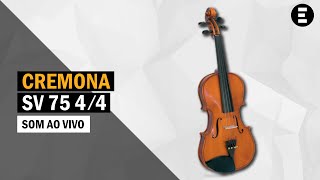 Violino Cremona SV 75 44  Egitanapt [upl. by Hanej]