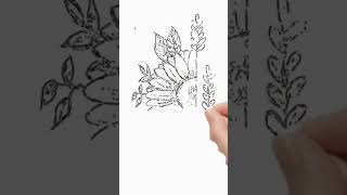 Sunflower Drawing  Drawing Tutorial  Easy Drawing [upl. by Canon640]