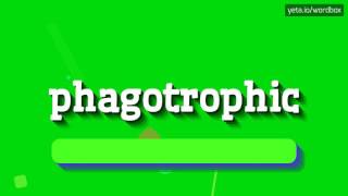 PHAGOTROPHIC  HOW TO PRONOUNCE PHAGOTROPHIC phagotrophic [upl. by Syramad]