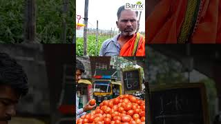 Healthier Tomatoes Happier Farmers with Barrix Catch Fruit Fly Trap [upl. by Anelegna]