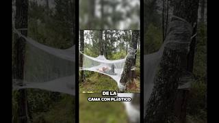 Su esposa lo echó de la casa así que construyó una casa de plástico en el bosque 👌👍 [upl. by Eilyw]