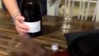 Wine spill TikTok [upl. by Carmena653]