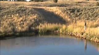 Historic LaBonte Canyon Ranch 1wmv [upl. by Moitoso]