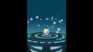 Pokemon Go every Gen 2 baby evolution Pichu Togepi Magby [upl. by Geffner]