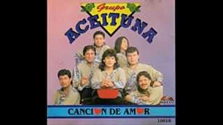 grupo aceituna  hechicera [upl. by Edith]