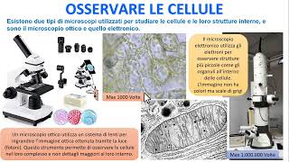 OSSERVARE LE CELLULE [upl. by Nayarb]