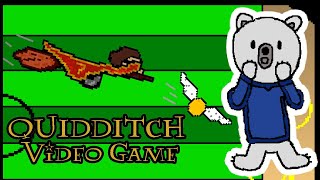 I Turned QUIDDITCH Into a Video Game [upl. by Lenhart]