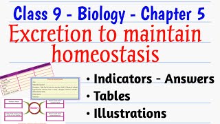 CLASS9BIOLOGYCHAPTER 5EXCRETION TO MAINTAIN HOMEOSTASIS INDICATIORSANSWERSTABLESILLUSTRATIONS [upl. by Fridell135]