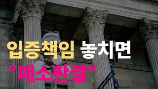 나에게 입증책임이 있다는데 어떻게 해야 하나요 [upl. by Wini]