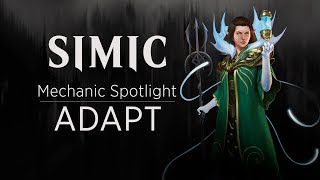 Simic Mechanic Spotlight Adapt [upl. by Athenian775]