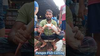 Incredible Giant Pangas Fish Cutting Techniques  Fish Cutting Skills [upl. by Abercromby315]