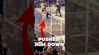 BIGGEST Hell in a Cell match [upl. by Theall197]