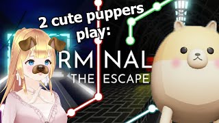 Terminal Escape Room  Chapter 2 With Scorpiussen [upl. by Theobald]