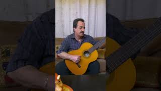 Kourosh YaghmaeiGole Yakh Guitar Solo guitarsolo music sologuitarist guitarperformance cover [upl. by Ynwat]