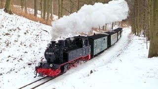 Rasender Roland im Winter 2013 Rügen Rügensche Kleinbahn RüBB RüKB BR99 99 4802 Паровозы [upl. by Oech]