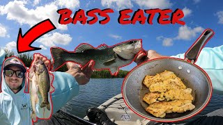 Largemouth BASS Catch Clean Cook Surprising Results [upl. by Sairtemed]