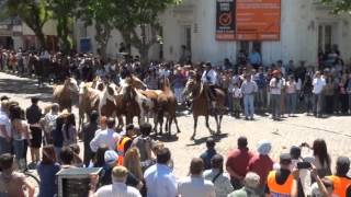 Desfile de Tropillas Parte 11 [upl. by Hamilah]