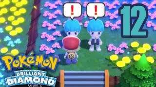 Pokemon Brilliant Diamond  Problems in Floaroma Town  part 12 [upl. by Carolynn]