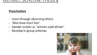 5 Gender Schema Theory [upl. by Reh]