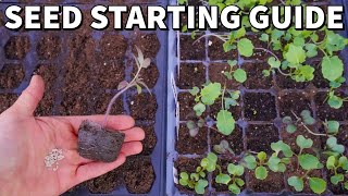 The Ultimate Beginners Guide To STARTING SEEDS Indoors [upl. by Solakcin]