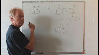 Umlagerung eines Bicyclus  Einsichten Organische Chemie Basiswissen 14 [upl. by Nileuqcaj]