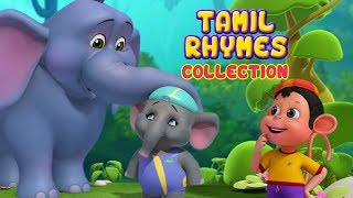 சின்ன யானை and more Animal Rhymes  Tamil Rhymes for Children  Infobells [upl. by Germaine]